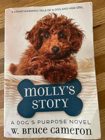 Molly's Scout